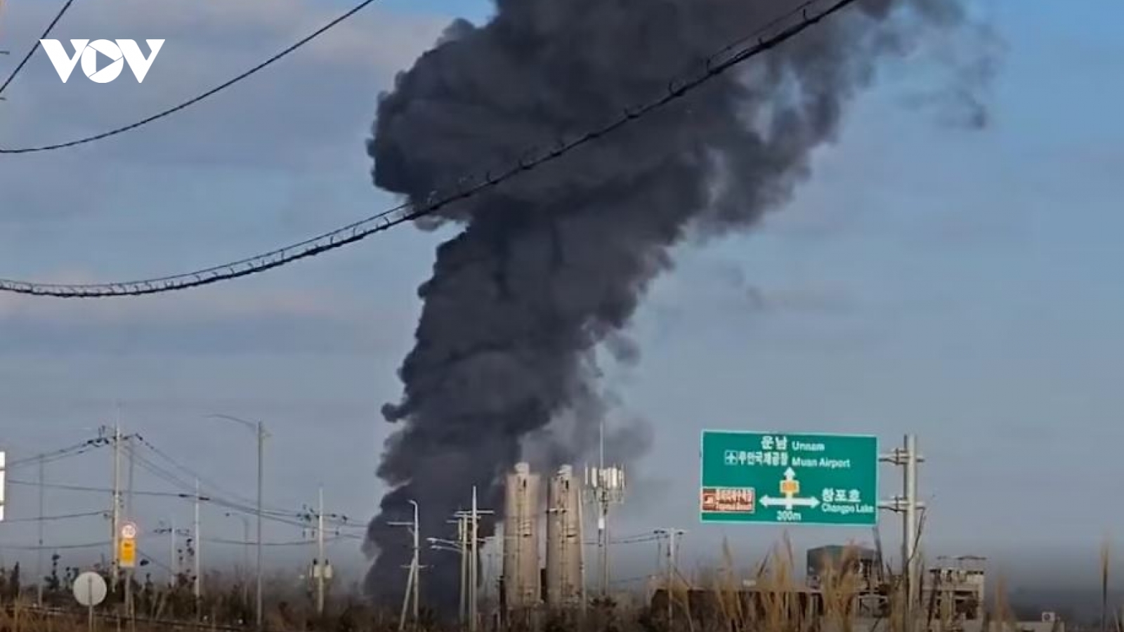 Yonhap: Nguyên nhân tai nạn máy bay ở Hàn Quốc có thể là do va chạm với chim