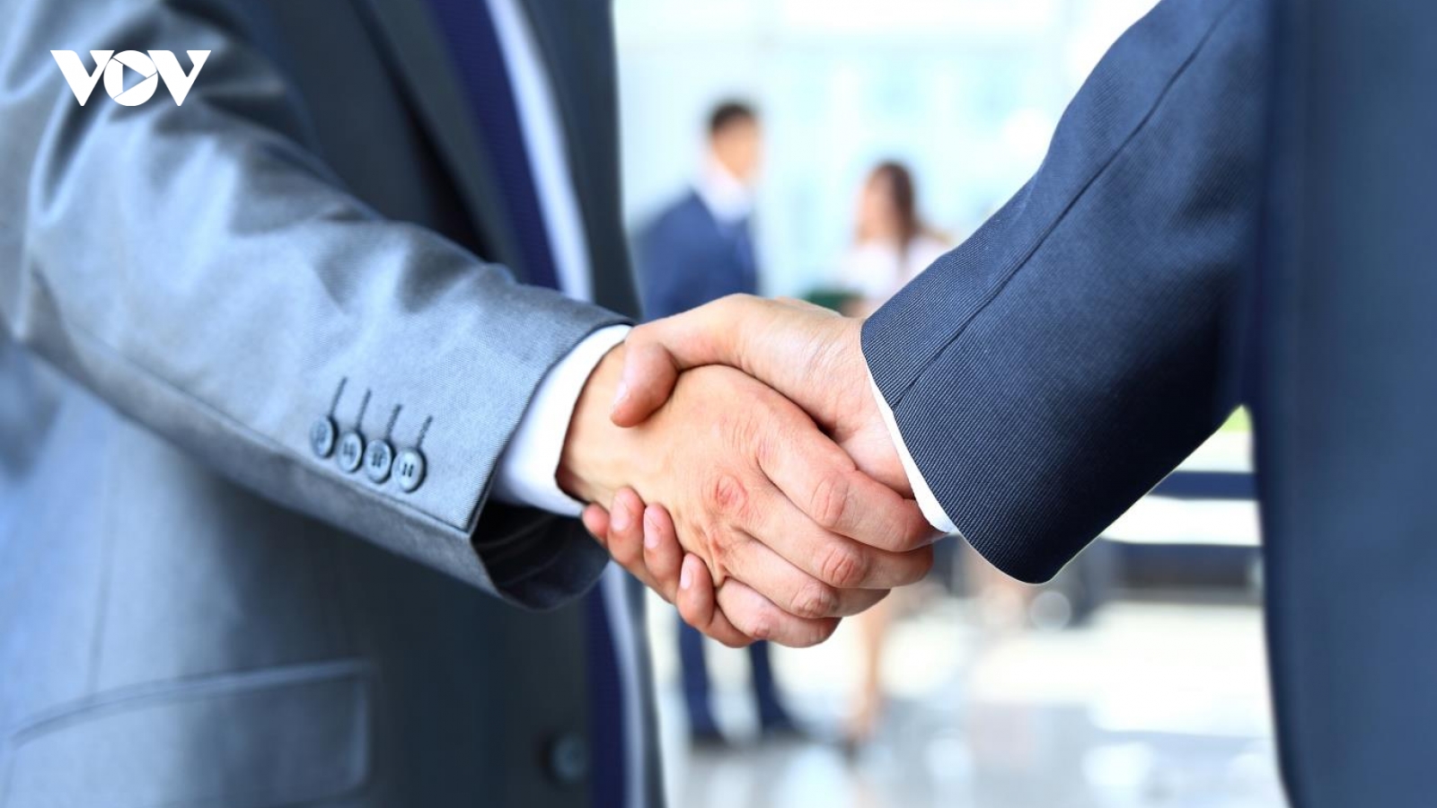 Văn hóa tổ chức và bài toán phát triển bền vững sau sáp nhập