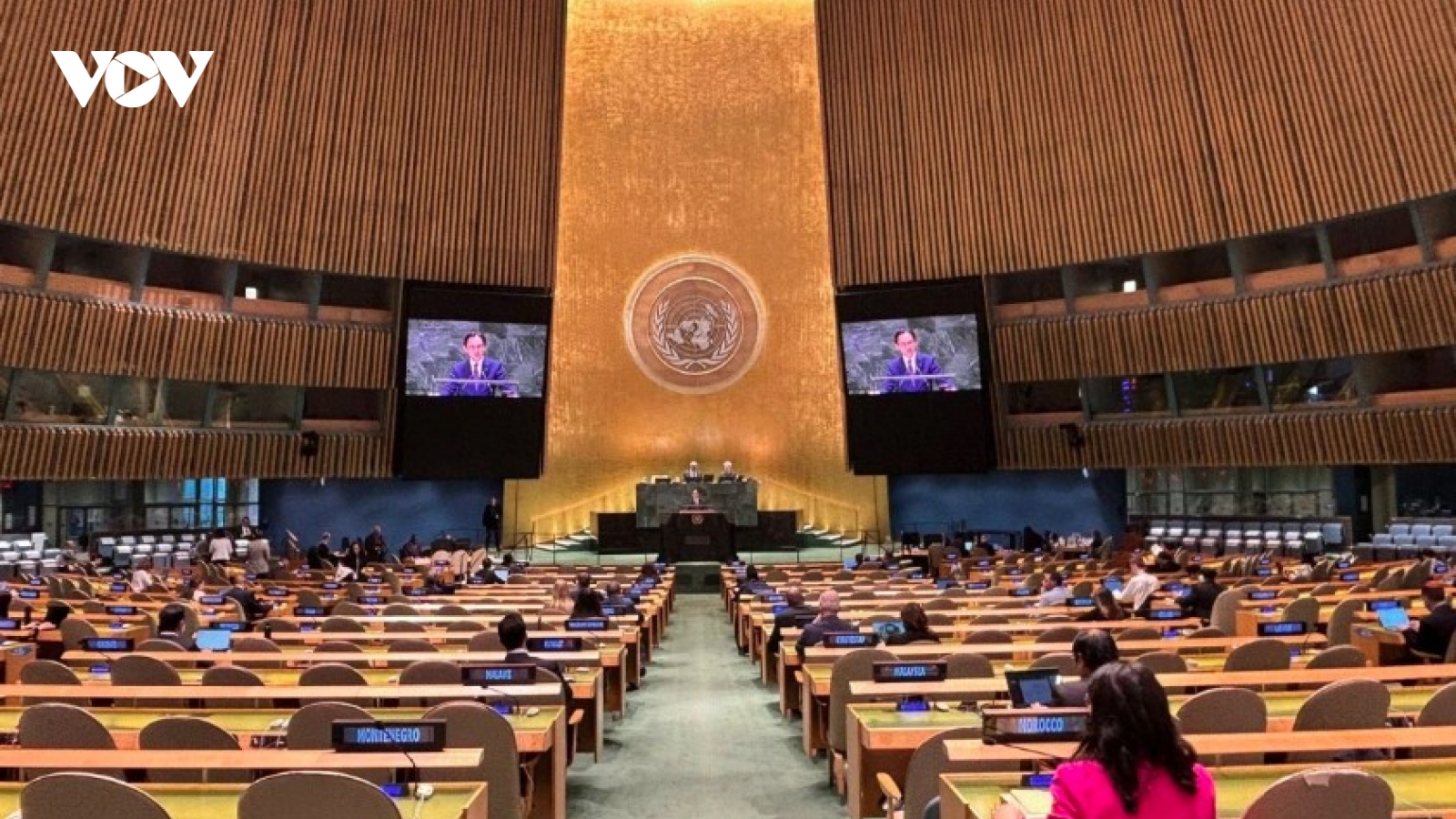 Vietnam calls for ceasefire and more humanitarian aid in Gaza