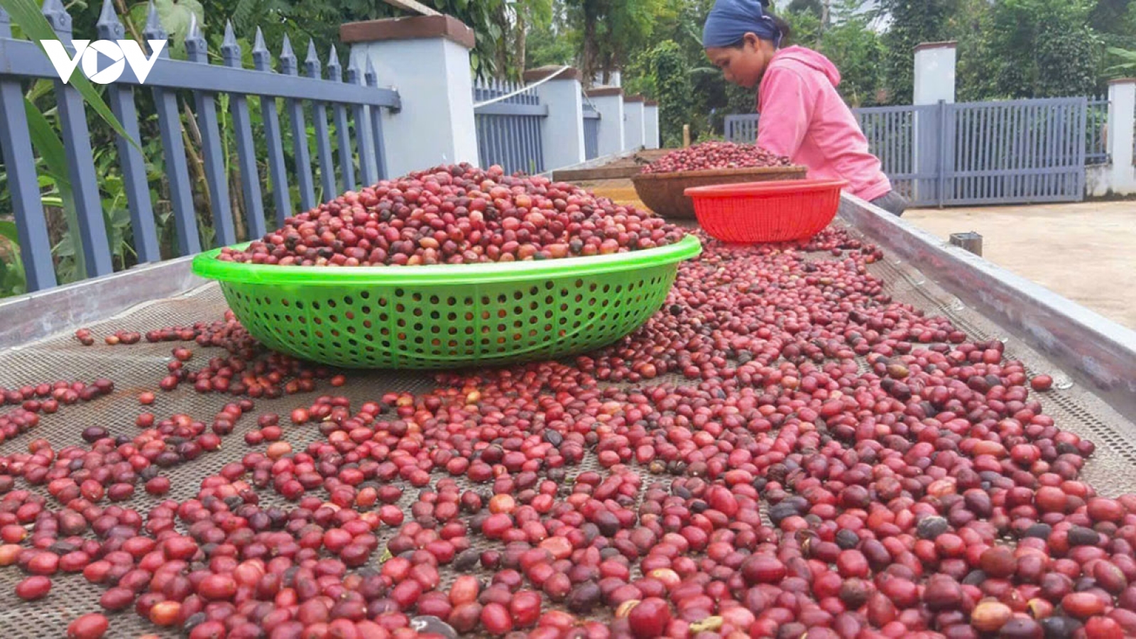ÊĐê Café - Khát vọng buôn làng