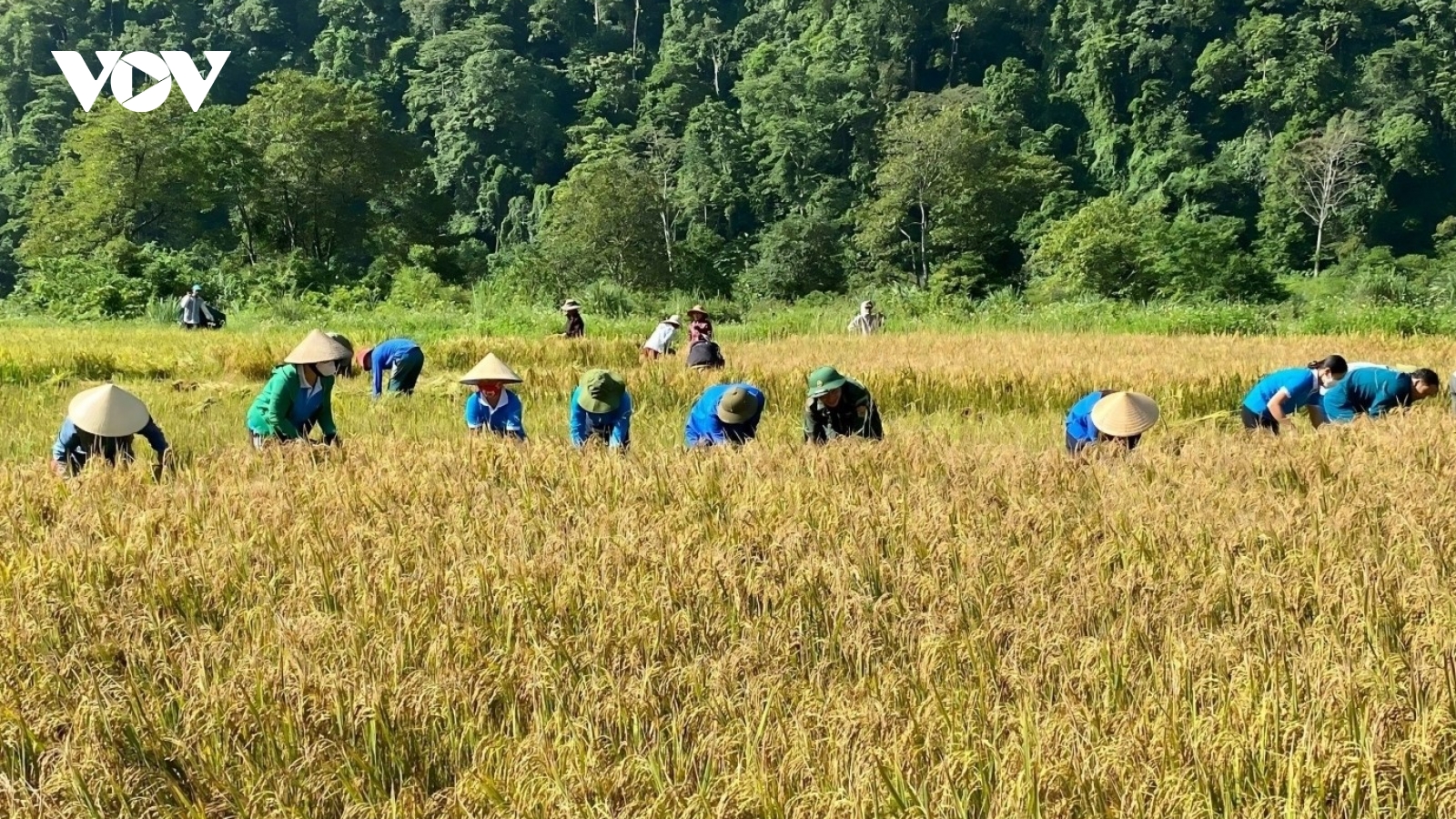Kỳ tích người Rục: Hành trình 65 mùa xuân từ sống trong hang đá đến xây bản làng ấm no