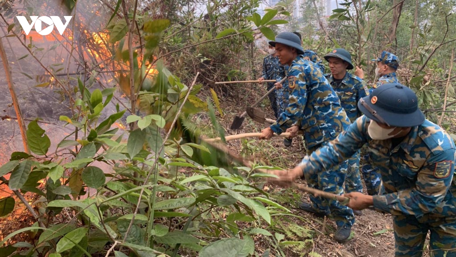 Huy động nhiều lực lượng chữa cháy rừng tại phường Bãi Cháy, TP Hạ Long