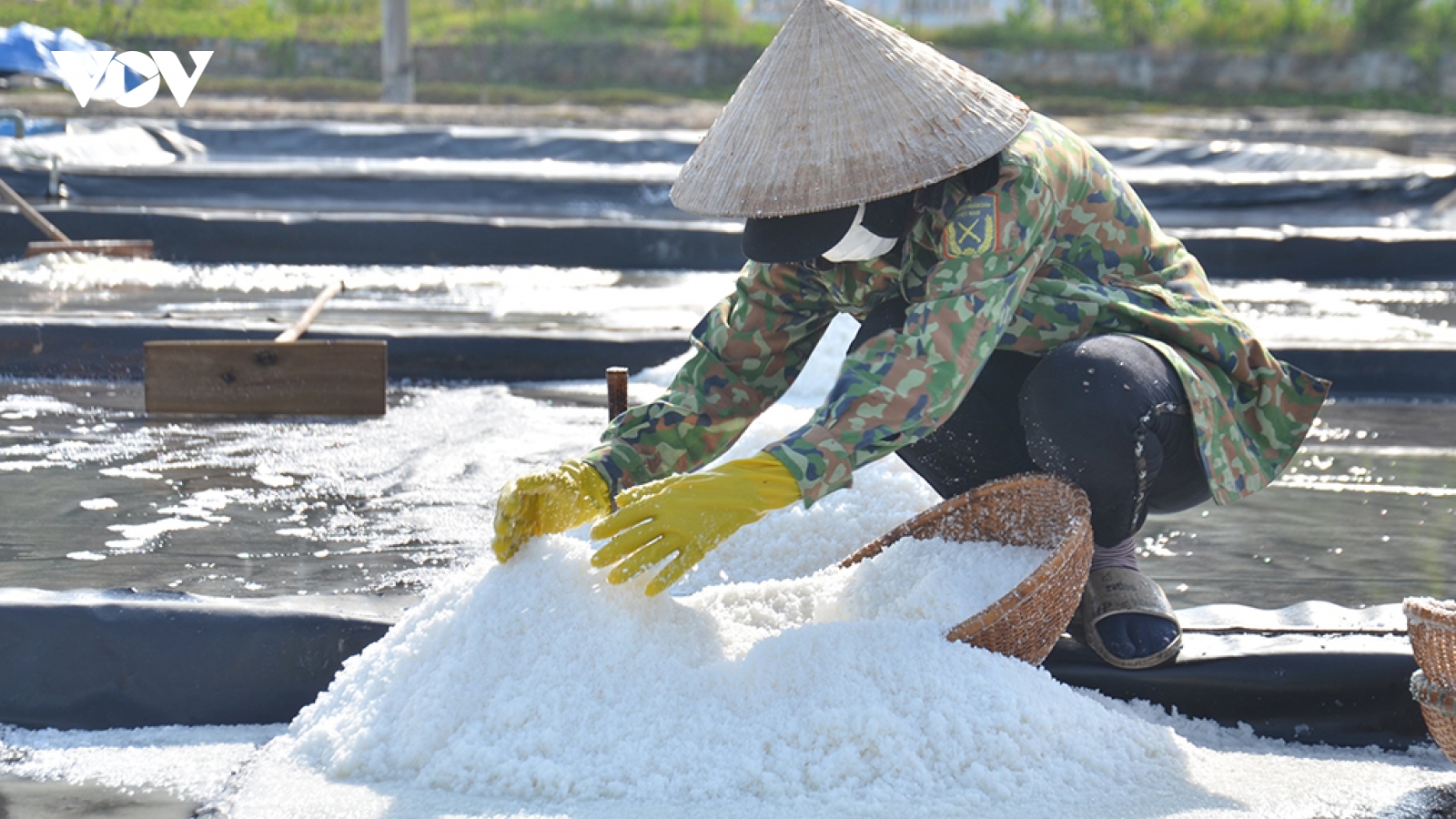 Nghề làm Muối Sa Huỳnh được công nhận Di sản Văn hóa phi vật thể quốc gia