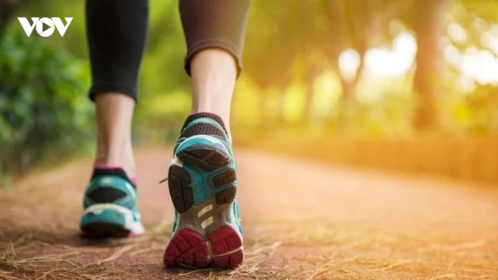 5 lời khuyên giúp duy trì thói quen đi bộ