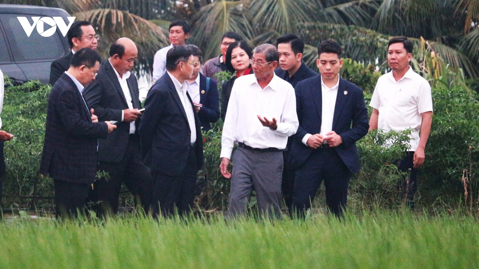 Chủ tịch Quốc hội Lào thăm, tìm hiểu về sản xuất lúa ST25 tại Sóc Trăng