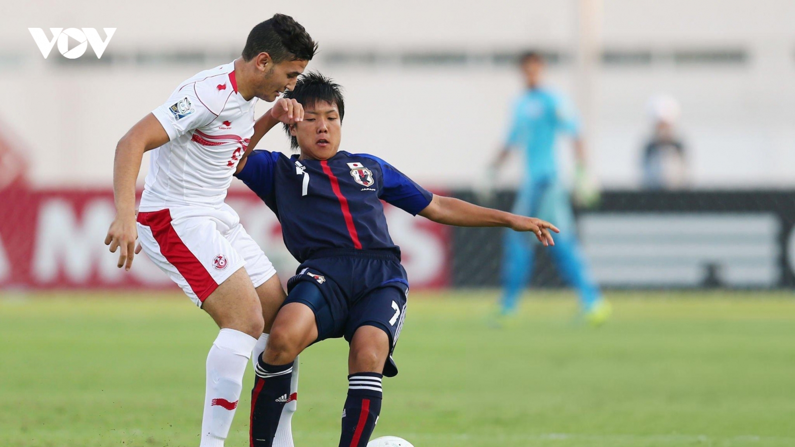 ĐT Việt Nam chạm trán cầu thủ nhập tịch Singapore từng đá World Cup cho Nhật Bản