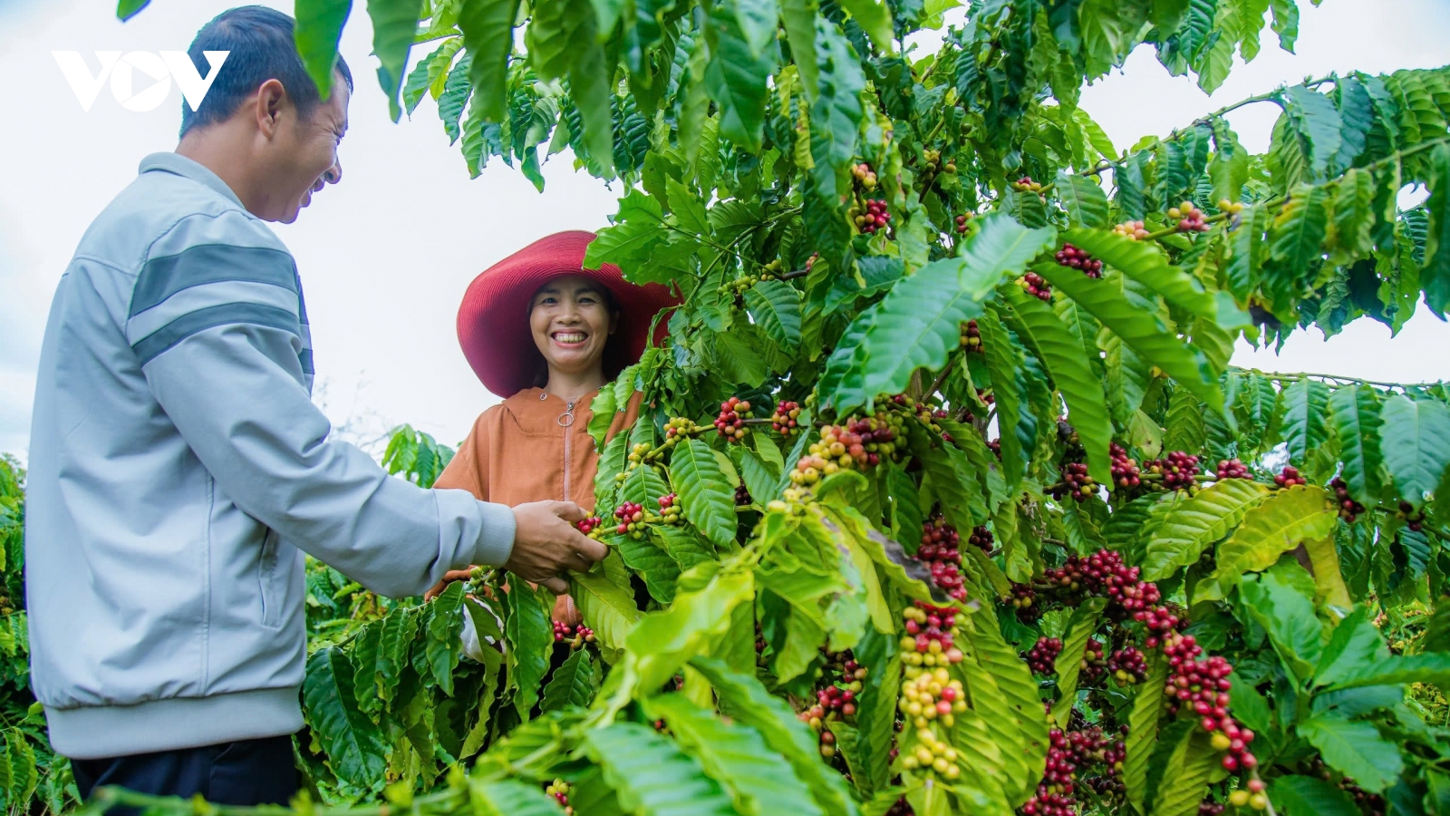 Đắk Nông nỗ lực hoàn thành mục tiêu xây dựng nông thôn mới