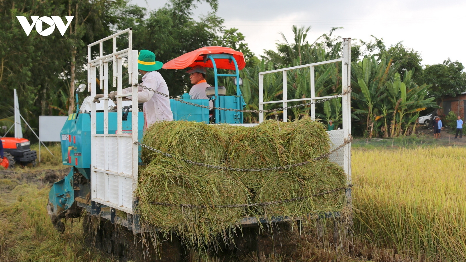 Vựa lúa miền Tây – Vì người tiêu dùng, vì môi trường