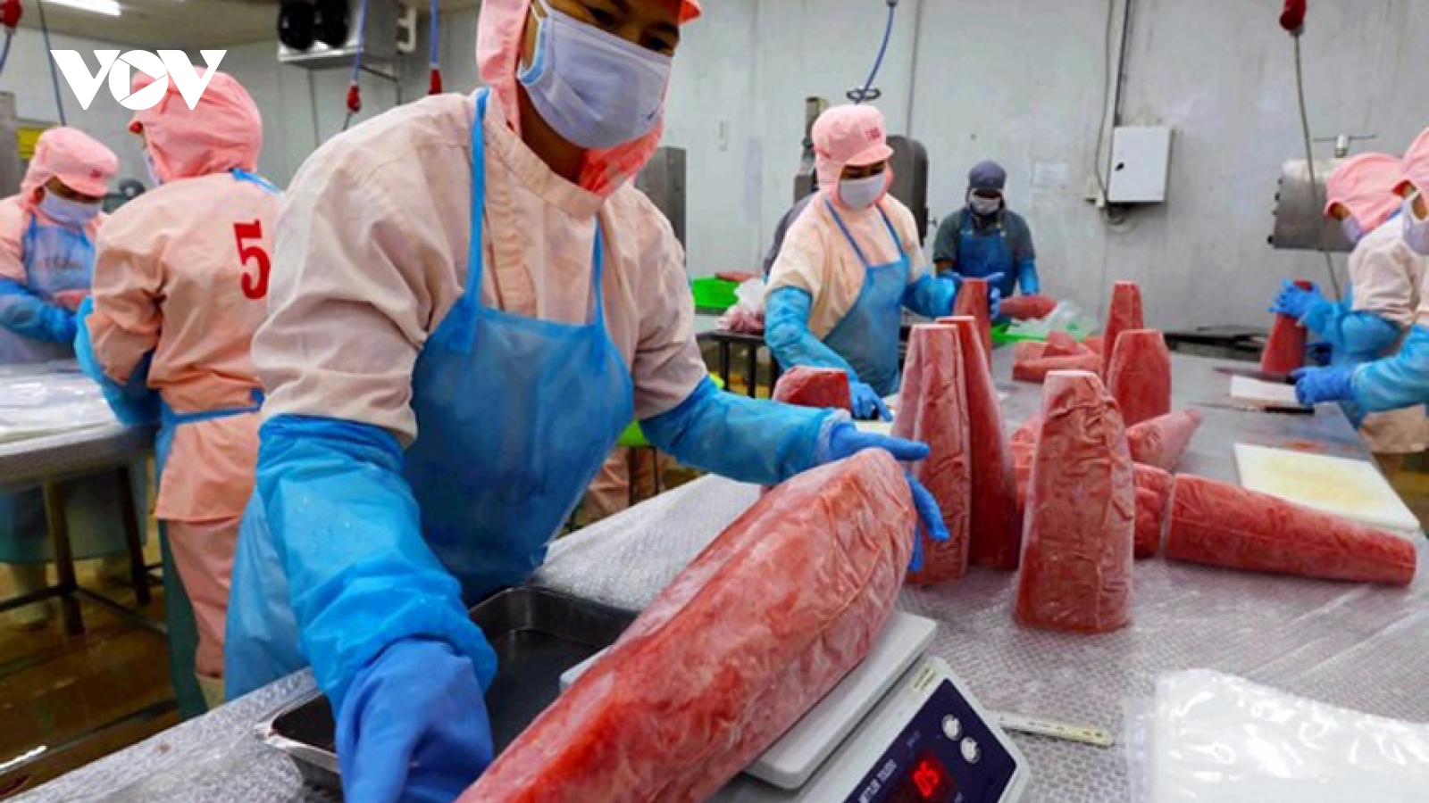 Việt Nam lần đầu tiên đứng thứ 3 về xuất khẩu thủy sản vào Singapore