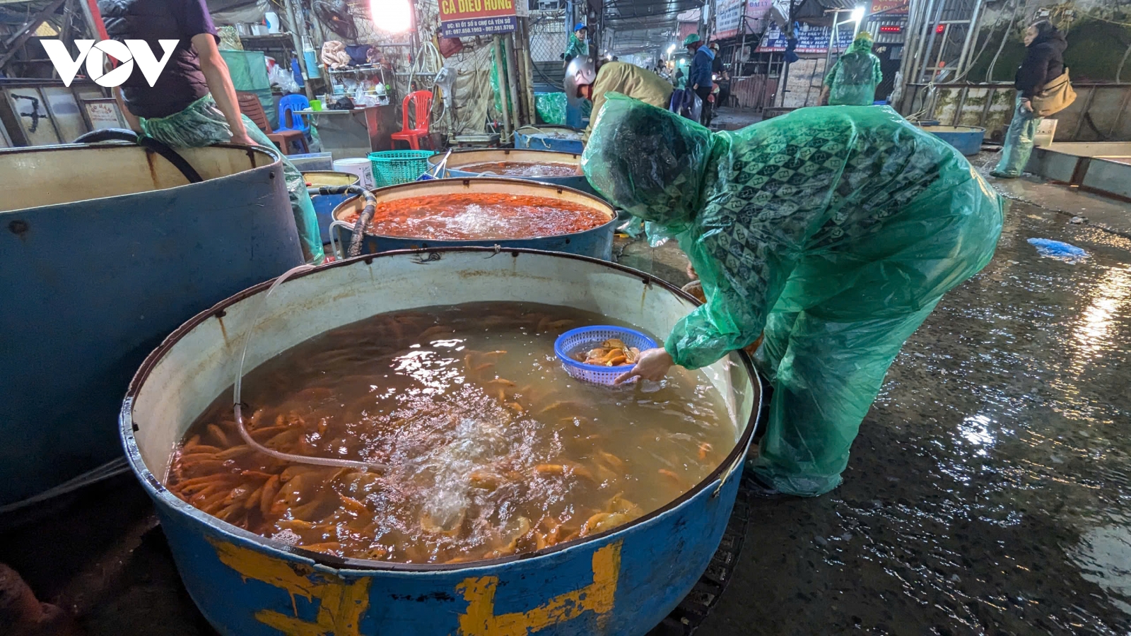 Chợ cá Yên Sở tấp nập trước ngày ông Táo chầu Trời, giá cao gấp đôi năm ngoái