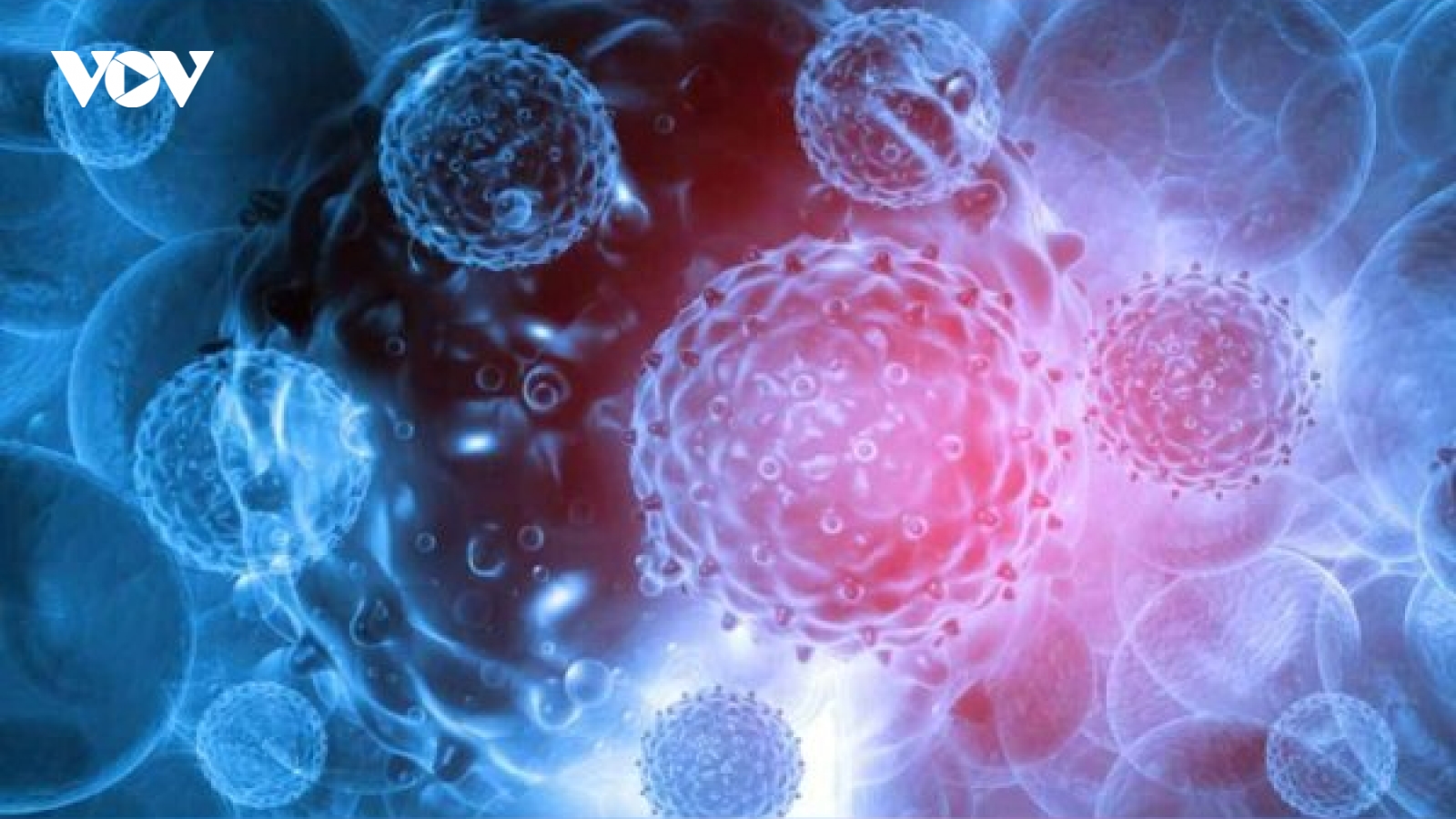 Ấn Độ phát hiện trường hợp đầu tiên nhiễm virus HMPV