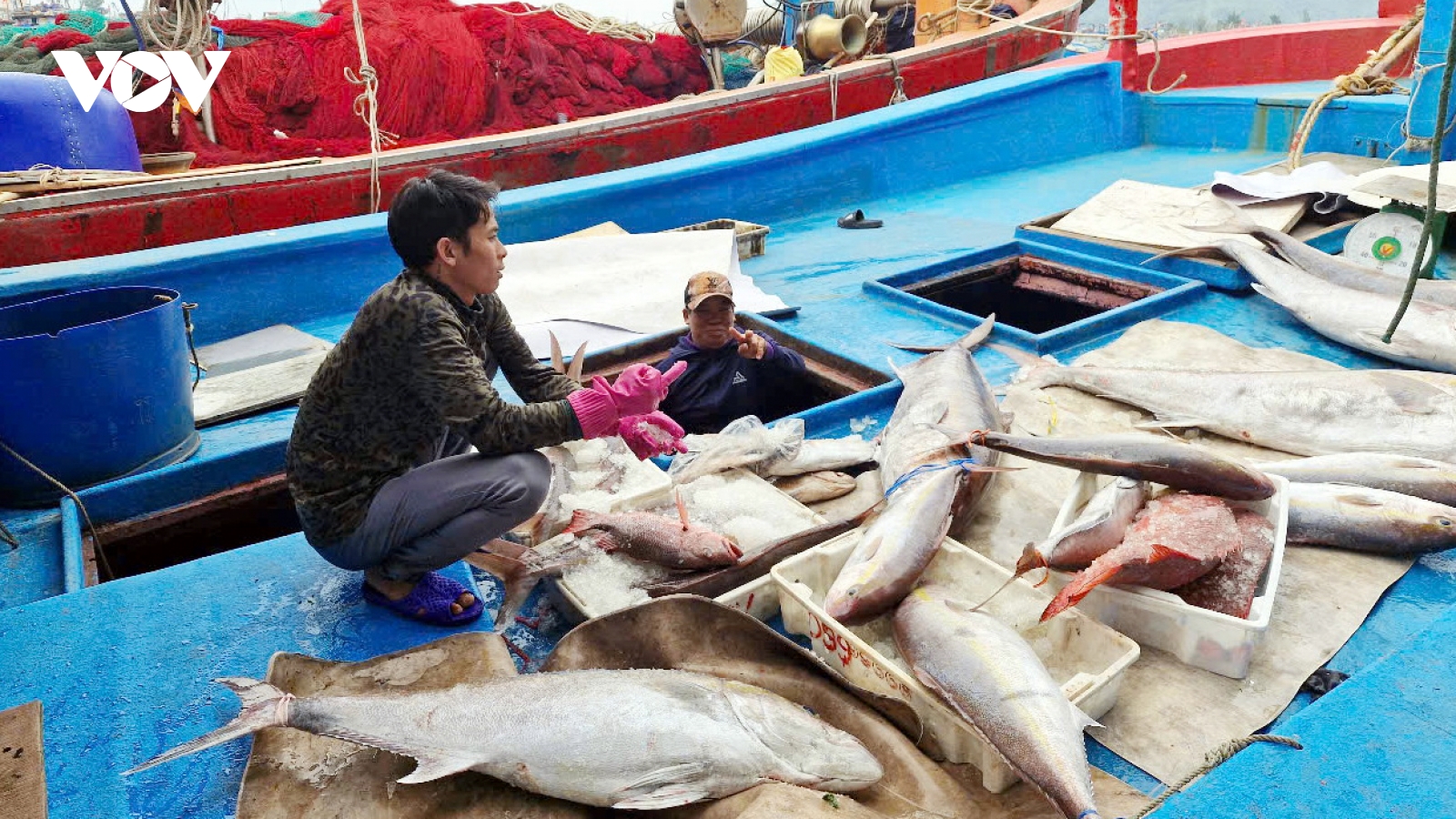 Niềm vui sau chuyến biển cuối năm