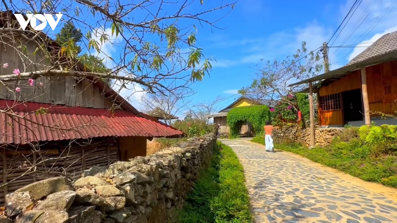 Sắc xuân trên bản du lịch cộng đồng Sì Thâu Chải