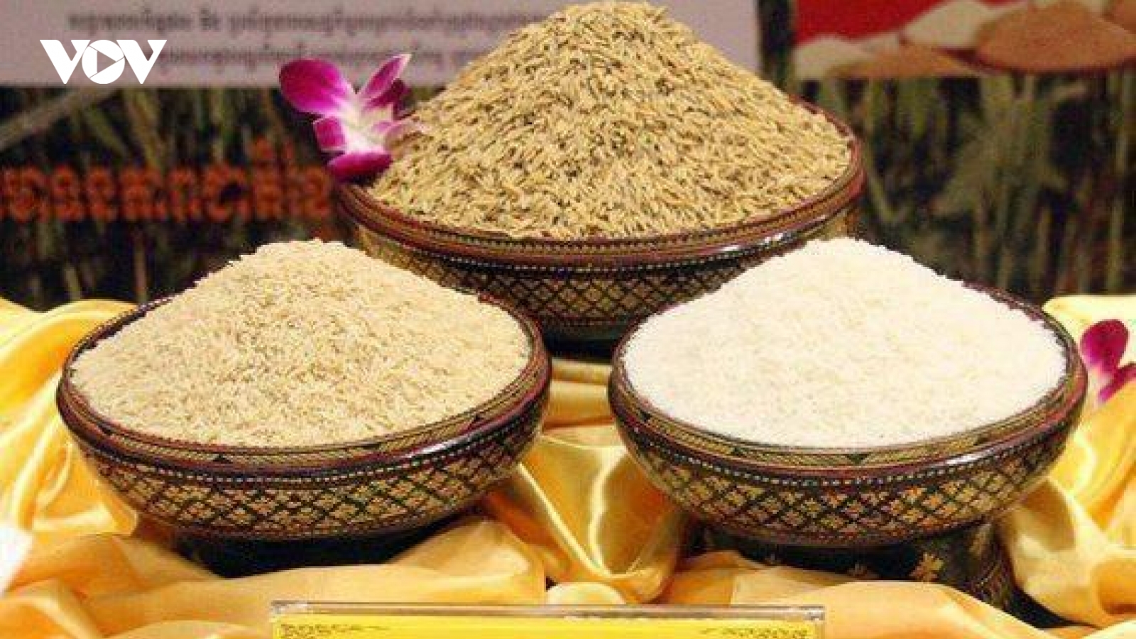 Campuchia thu về hơn 491 triệu USD từ xuất khẩu gạo năm 2024