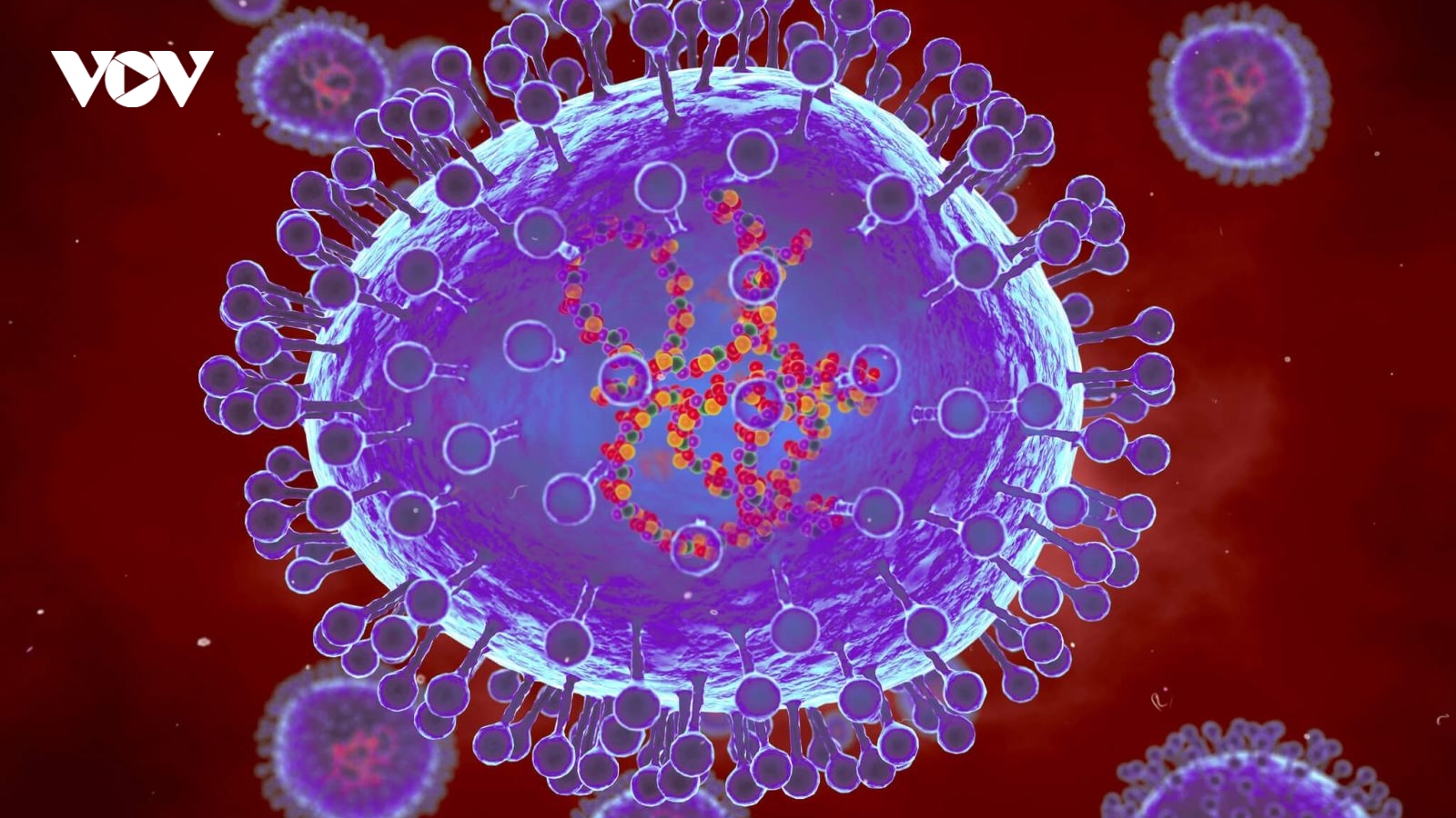 Ấn Độ sẵn sàng ứng phó nguy cơ từ virus HMPV