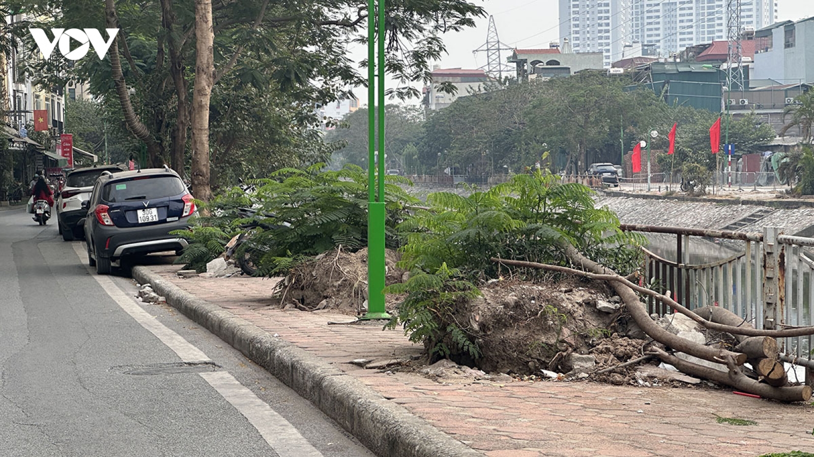 4 tháng sau bão Yagi: Bao giờ Hà Nội trồng và thay thế bổ sung cây xanh trên vỉa hè?