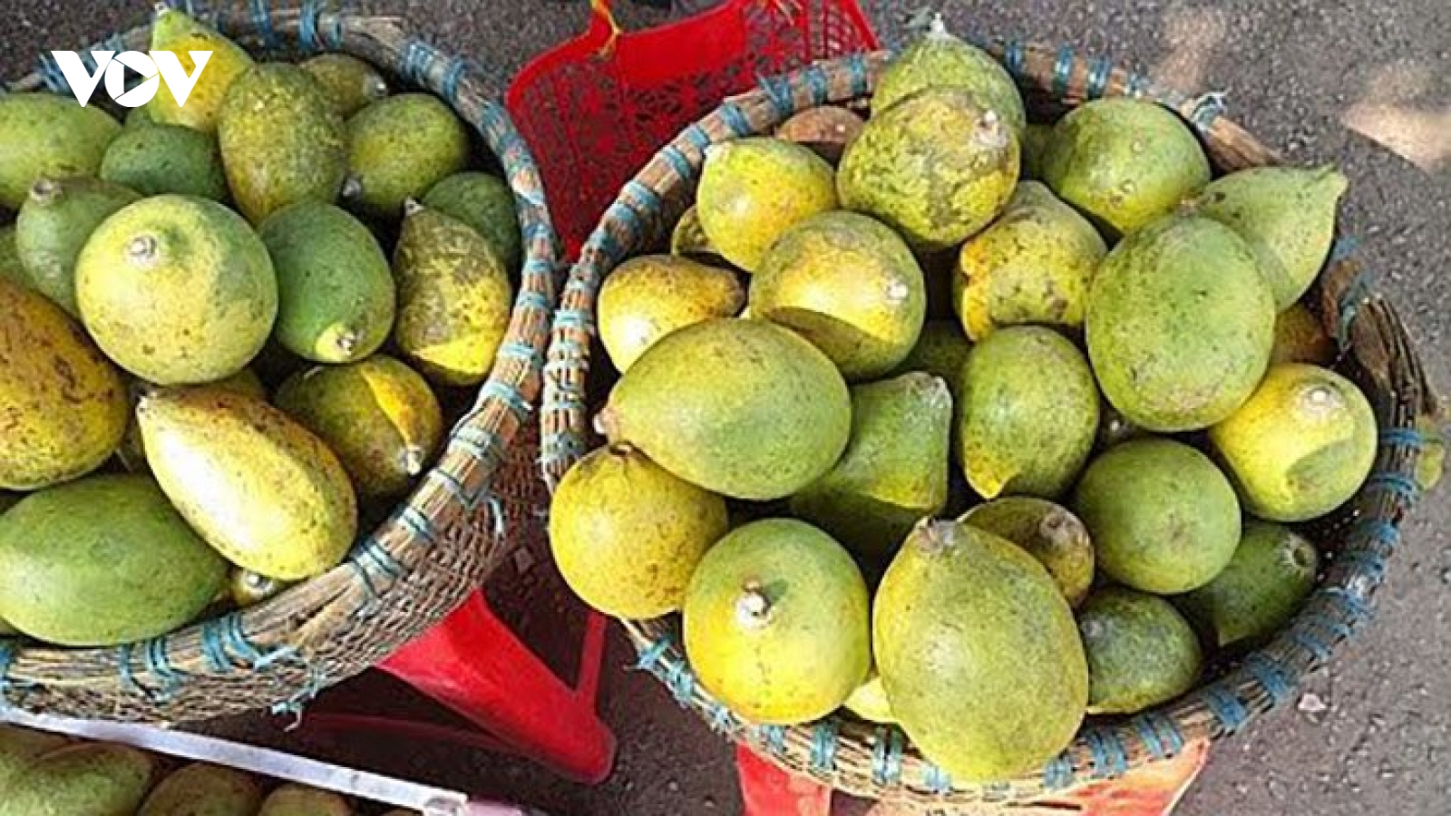 Quả dại “thơm nức mũi” nhưng ít ai biết tên
