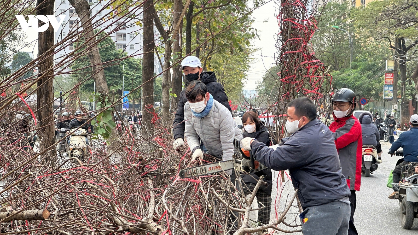 Đào rừng ở Hà Nội ế ẩm chất đống thành "củi" cuối chiều 29 Tết