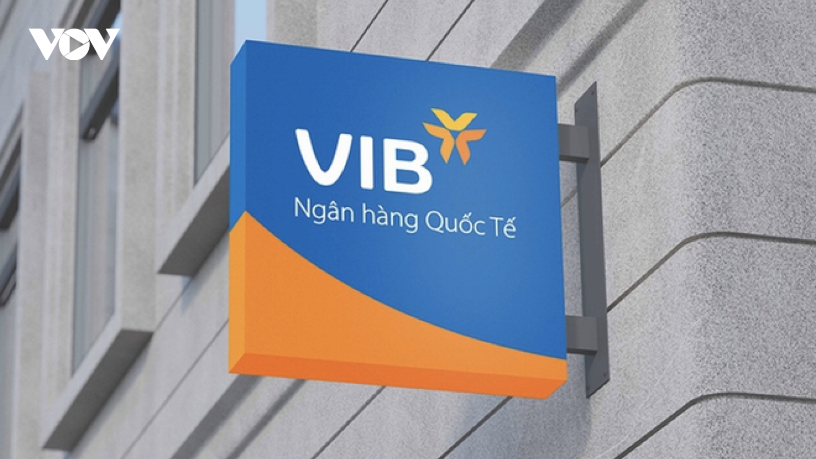 VIB: Lợi nhuận 2024 hơn 9.000 tỷ đồng, tăng trưởng tín dụng 22%, dẫn đầu ngành
