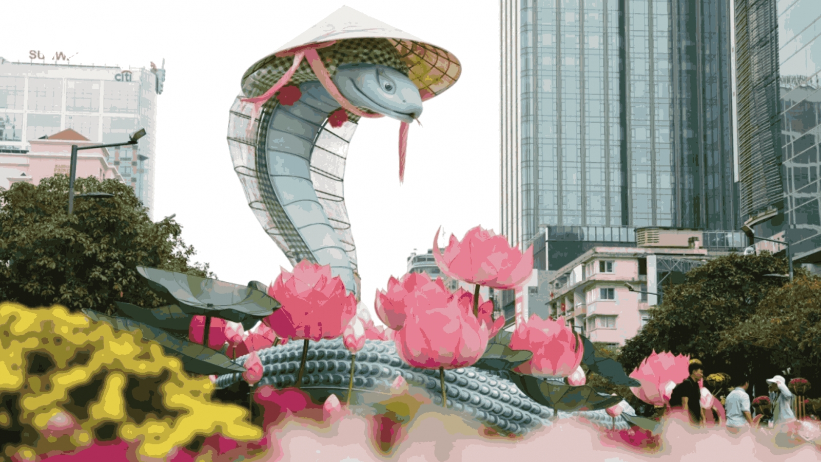 City flower street dazzles residents ahead of Tet