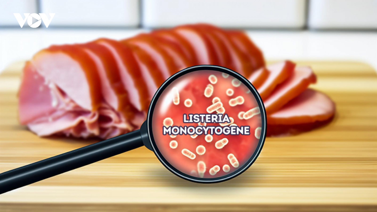 Ngày Tết đề phòng ngộ độc thực phẩm do nhiễm vi khuẩn Listeria trong thịt nguội