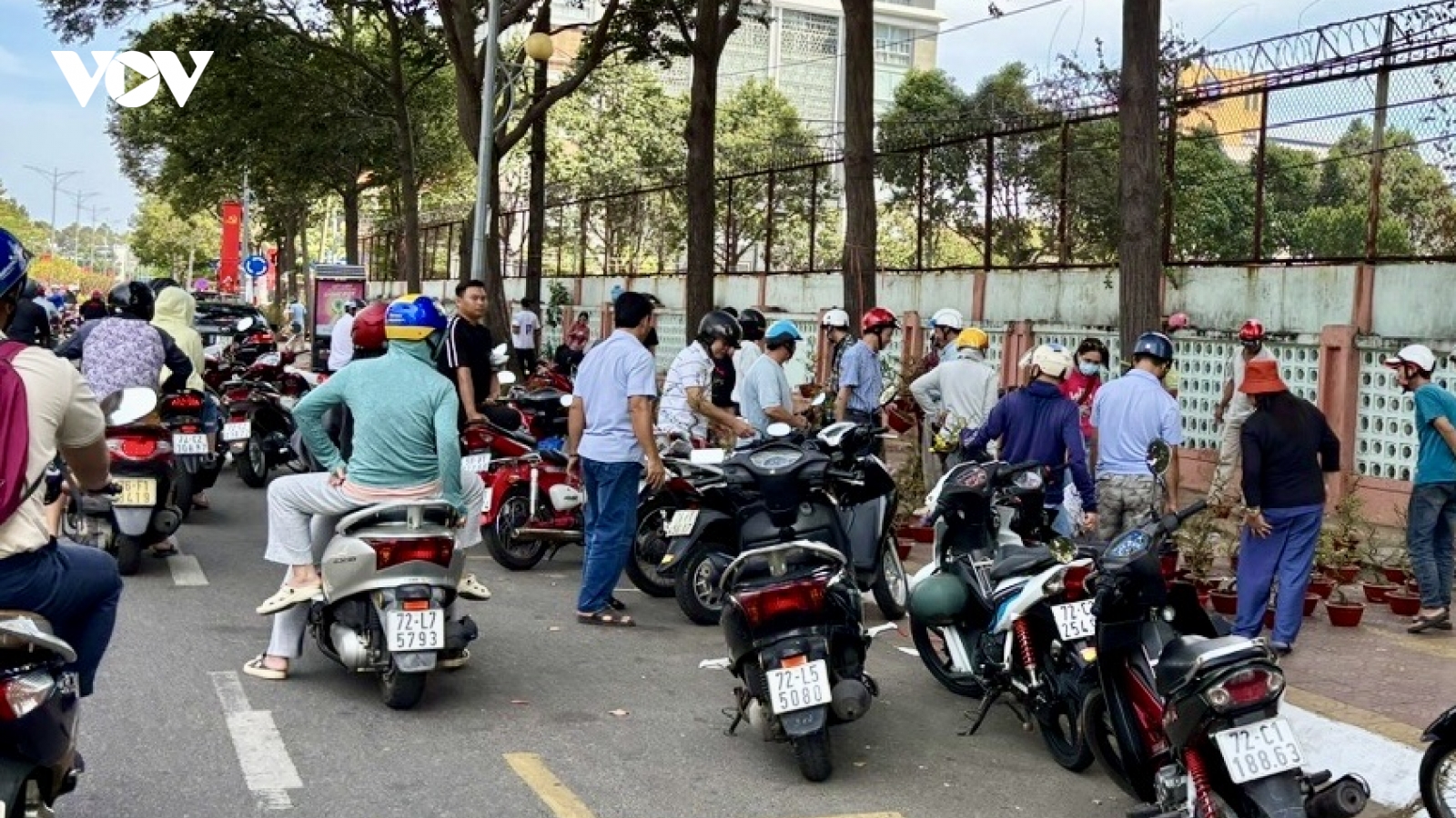 Trưa 29 Tết, thị trường cây kiểng ở Vũng Tàu vẫn nhộn nhịp