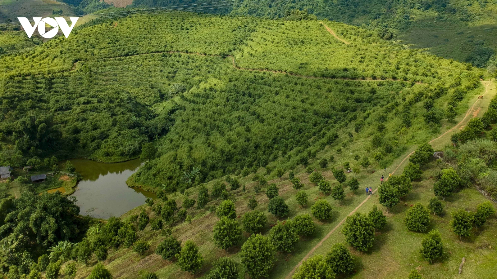 Điện Biên hướng tới mục tiêu trở thành "thủ phủ mắc ca" của cả nước