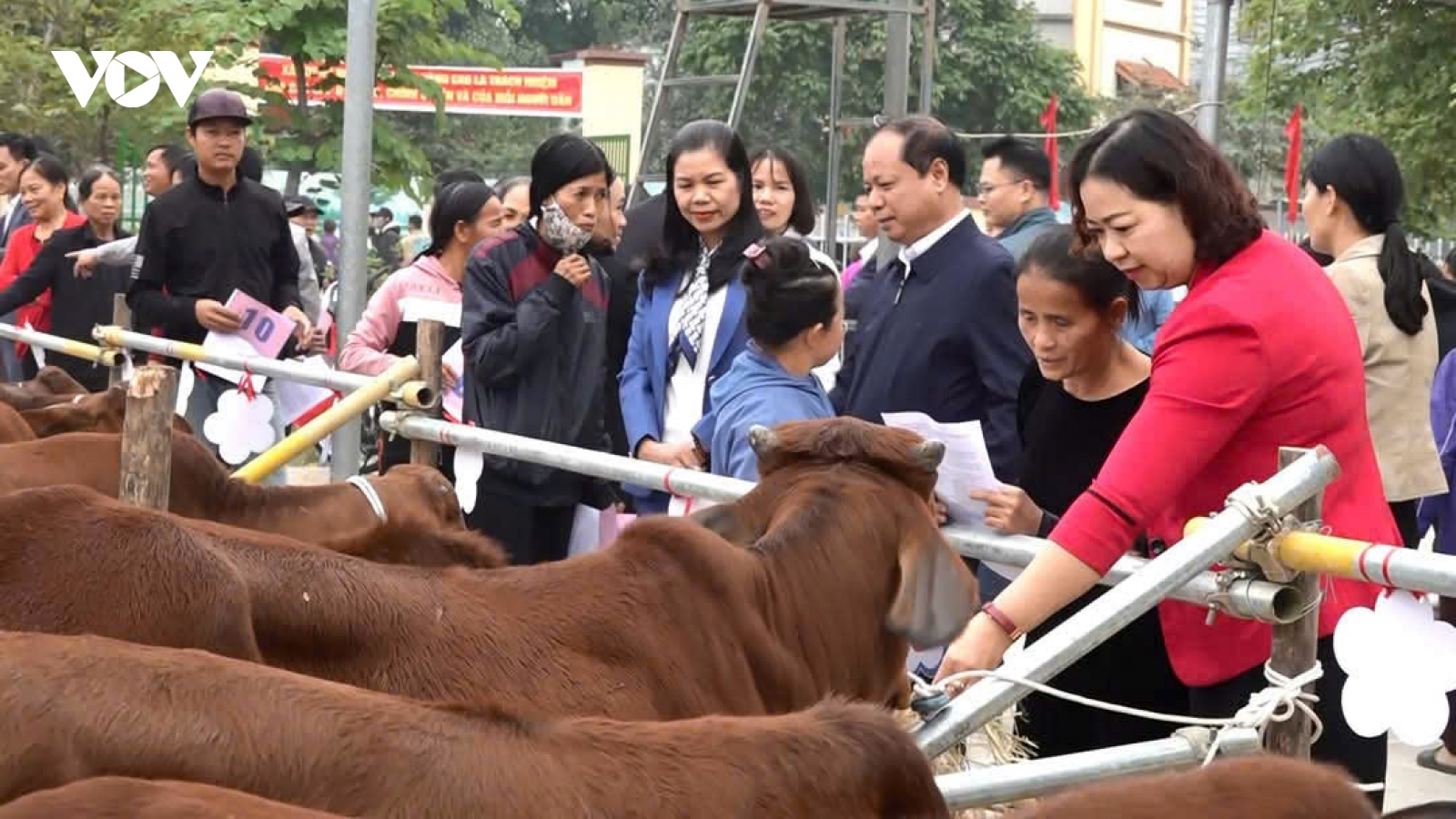 Mang mùa Xuân ấm áp đến với các gia đình khó khăn trên địa bàn Hà Nội