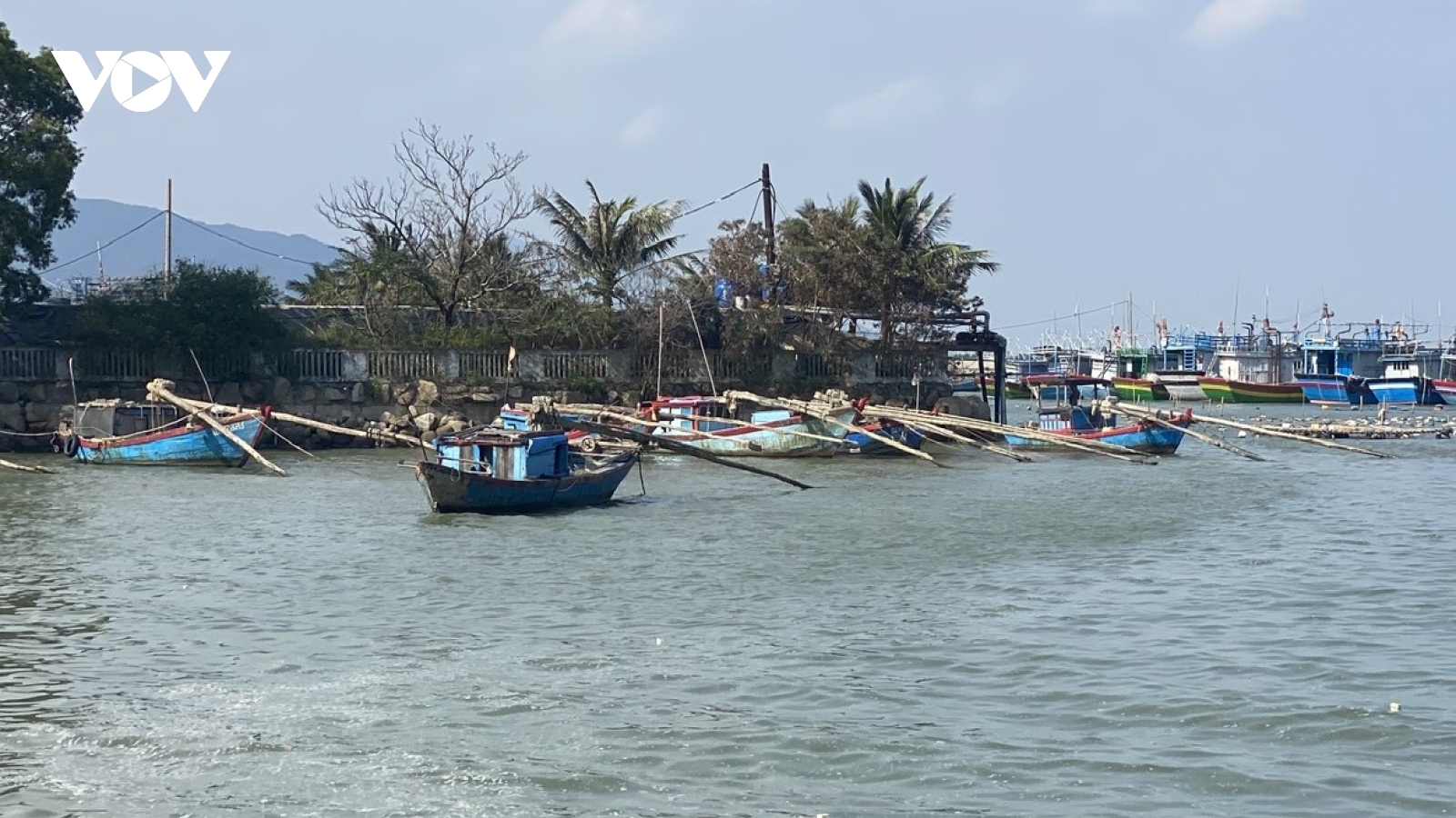Bình Định xử lý tàu cá khai thác thủy sản bất hợp pháp trên đầm Đề Gi