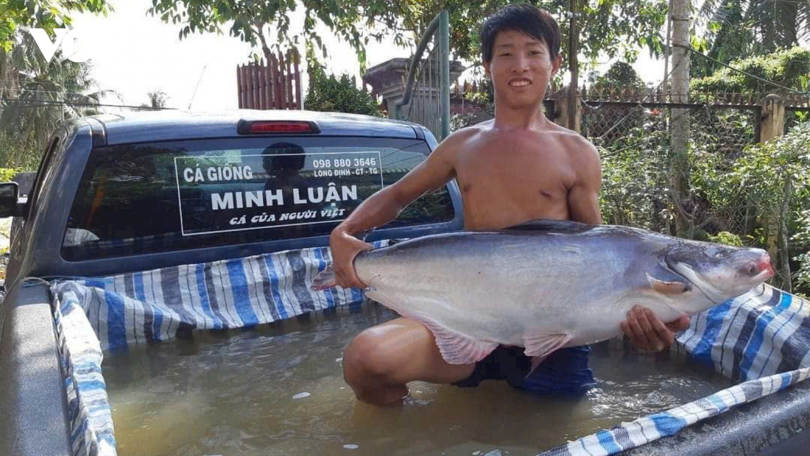 Một nông dân Tiền Giang dự trữ hơn 3 tấn cá “khủng” phục vụ Tết