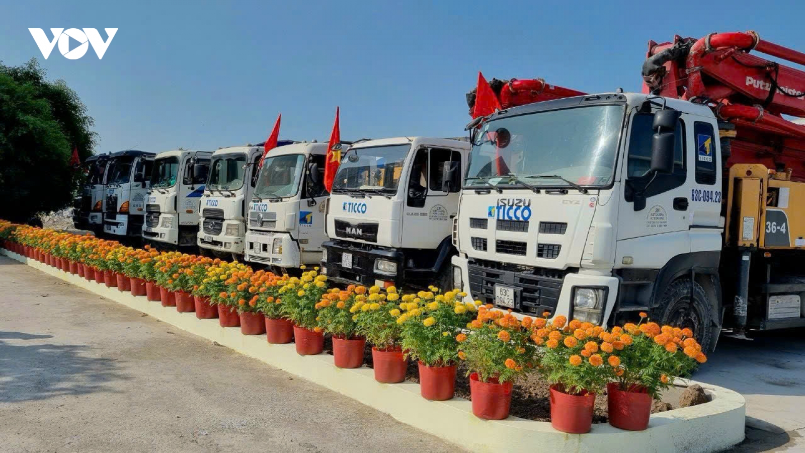 Sắc Xuân rực rỡ ở vùng Đồng Tháp Mười