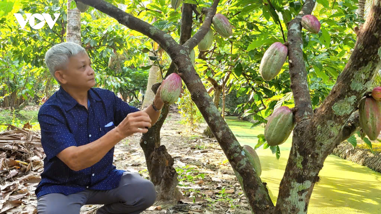 Người đảng viên cao niên ở Tiền Giang hết mình với phong trào