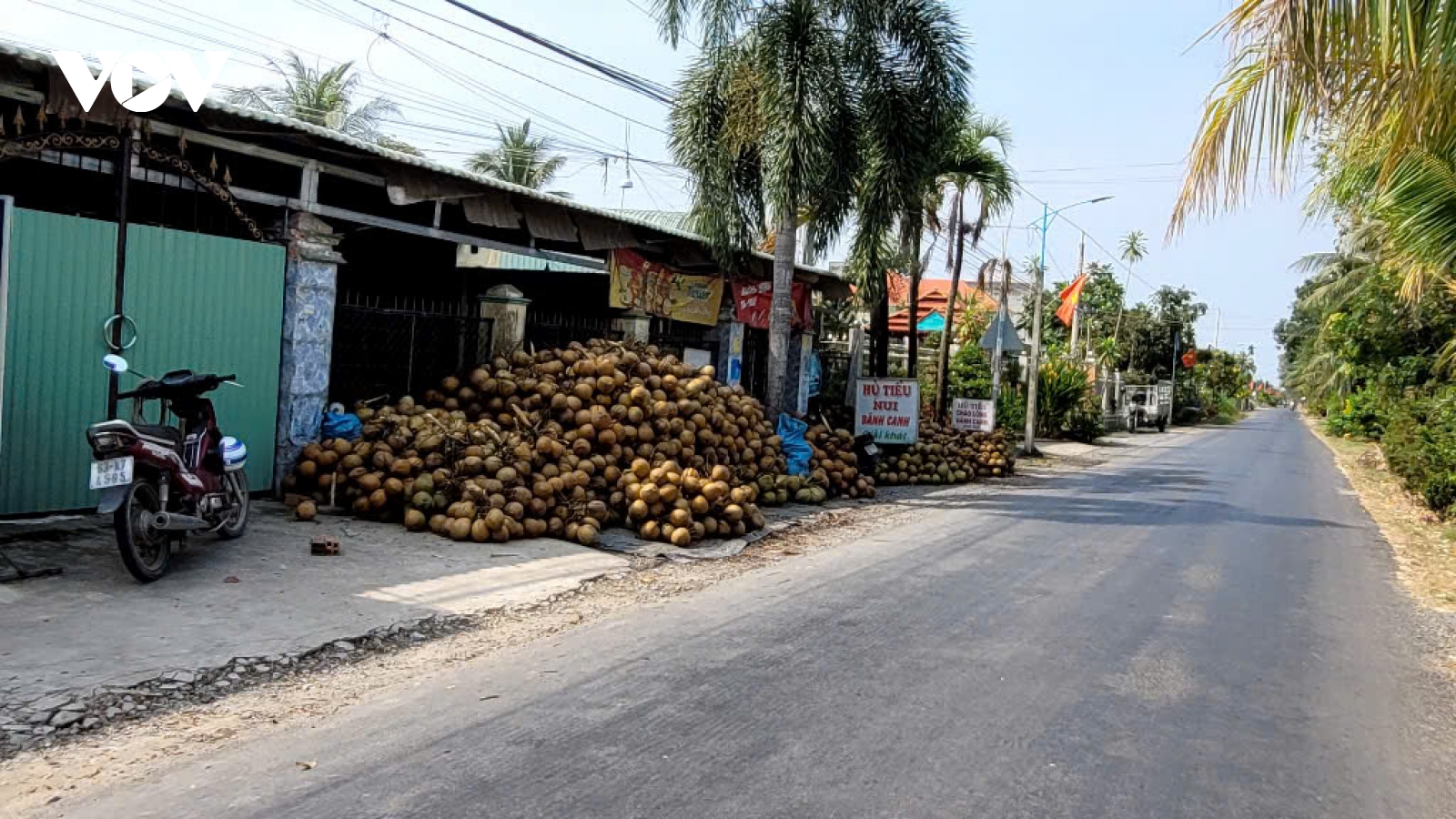 Trái cây được mùa được giá nông dân phấn khởi đón Tết