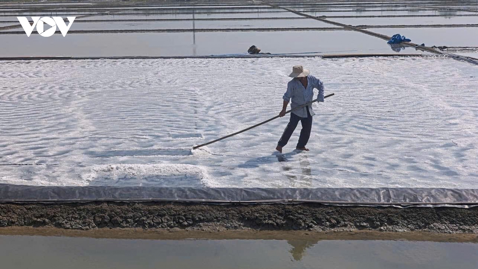 Giá muối lên cao, diêm dân Cần Giờ phấn khởi