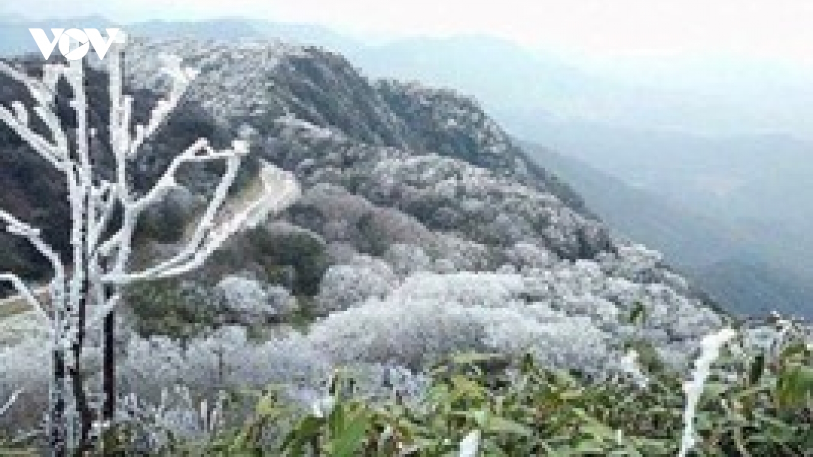 Rét đậm, rét hại diện rộng: Cảnh báo băng giá, mưa tuyết ở miền Bắc