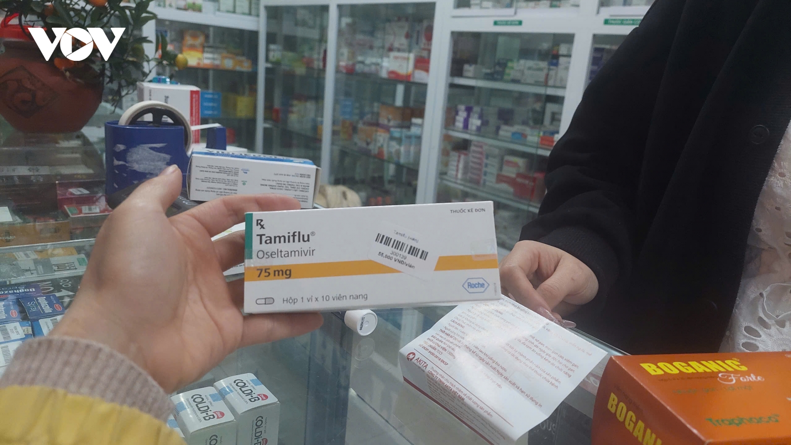 Bác sĩ cảnh báo tình trạng đổ xô mua Tamiflu điều trị cúm A