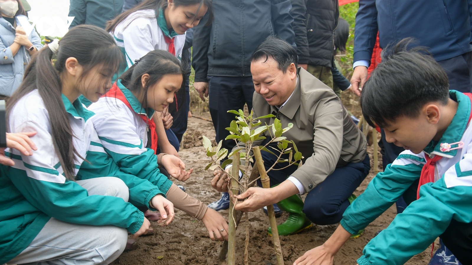 Nhân rộng hơn nữa “lá phổi xanh” ven biển, tạo sinh kế bền vững cho người dân