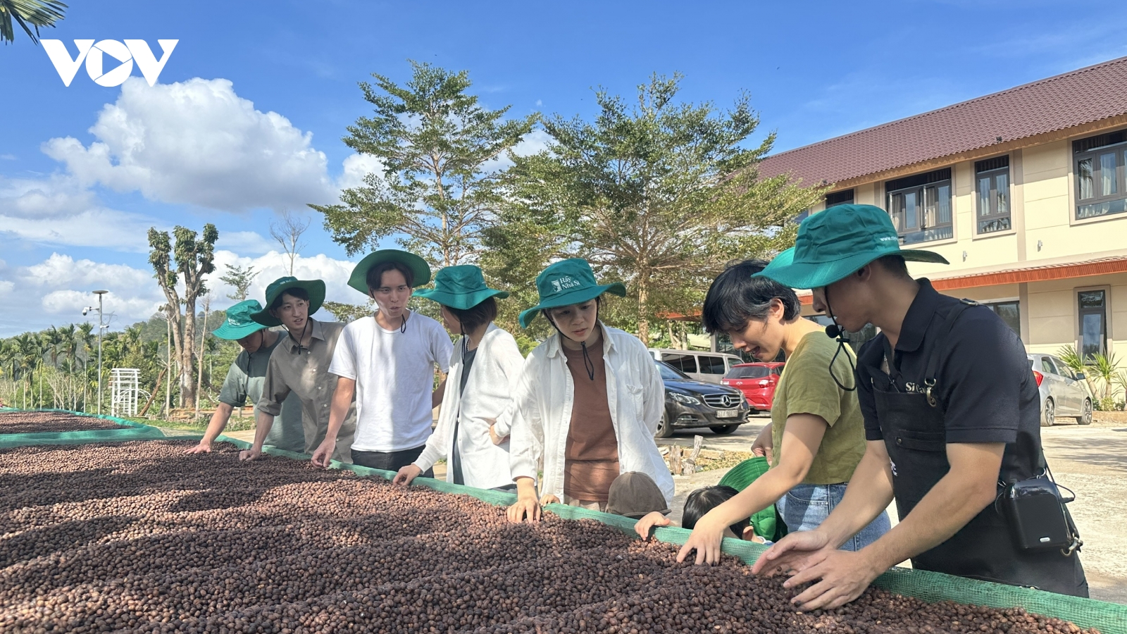 Đến Đắk Lắk trải nghiệm, khám phá những trang trại cà phê đặc biệt