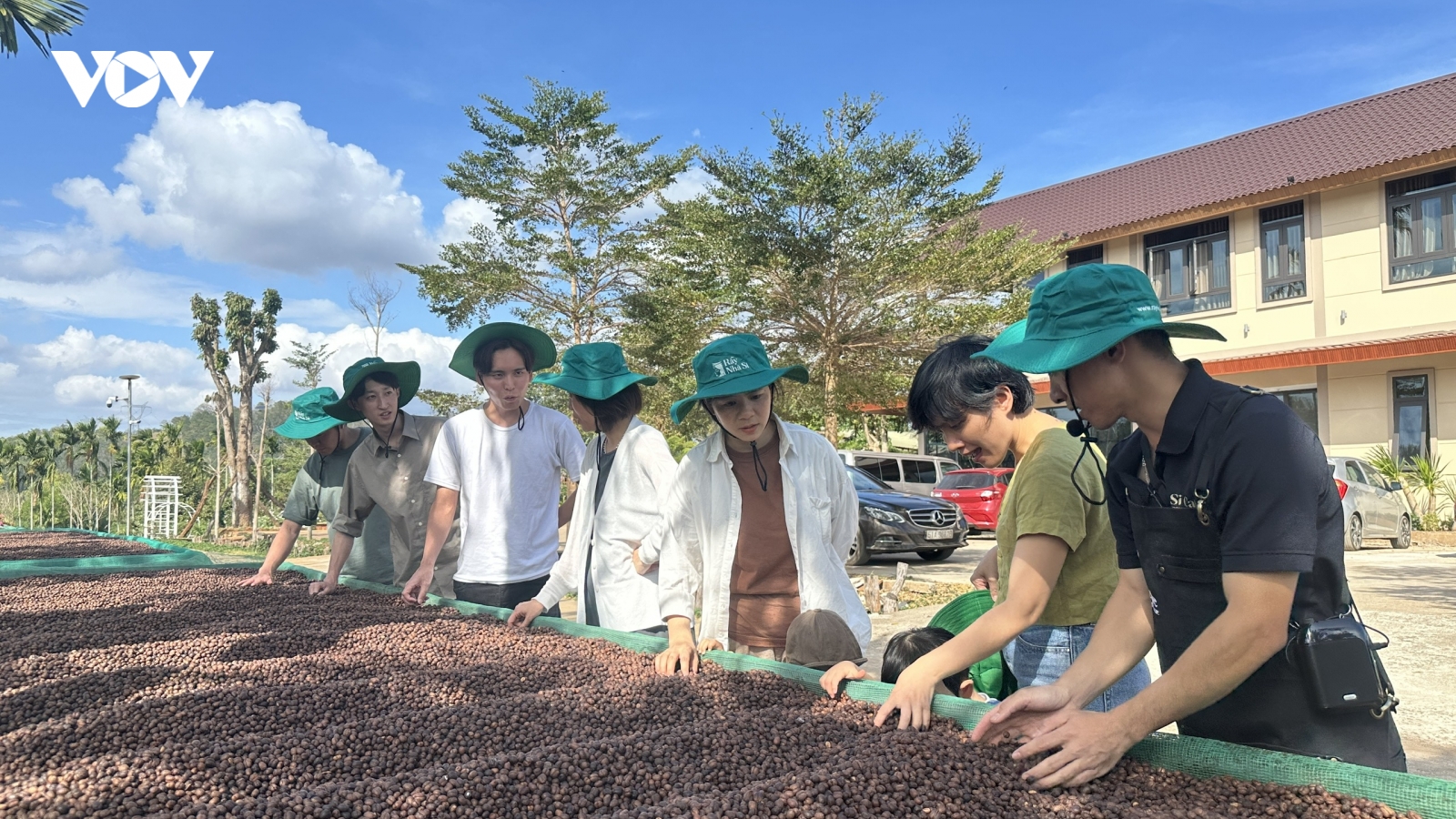 Đến Đắk Lắk trải nghiệm, khám phá những trang trại cà phê đặc biệt
