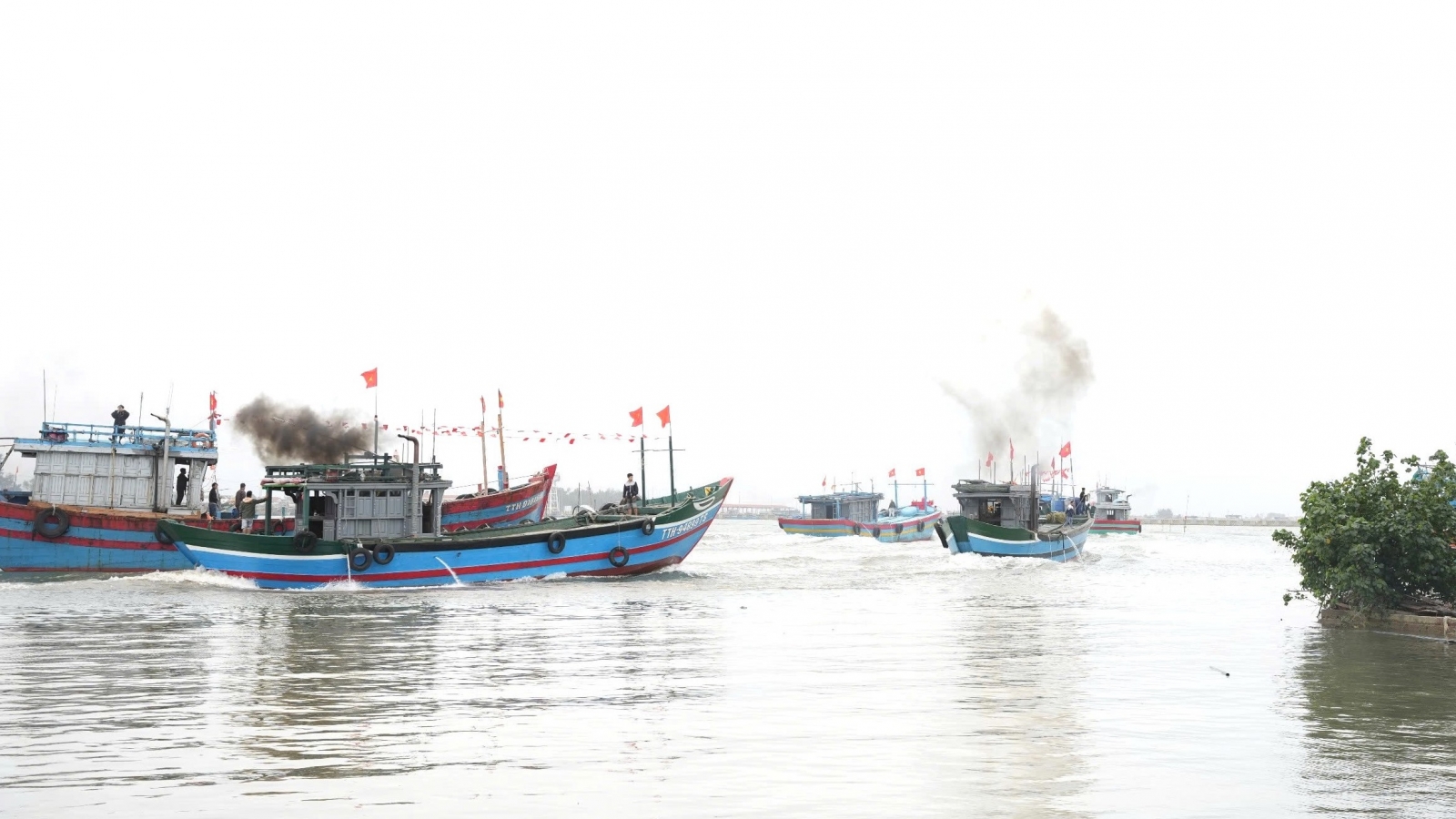 Ngư dân Huế ra quân đánh bắt vụ cá Nam