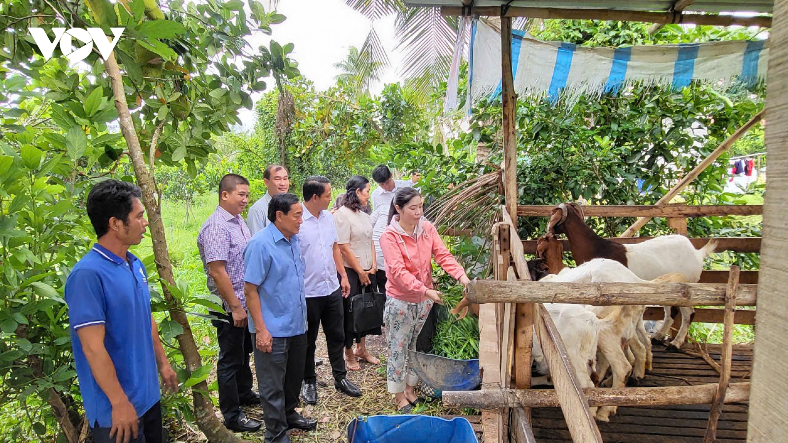 Hậu Giang còn chưa tới 1,5% hộ nghèo