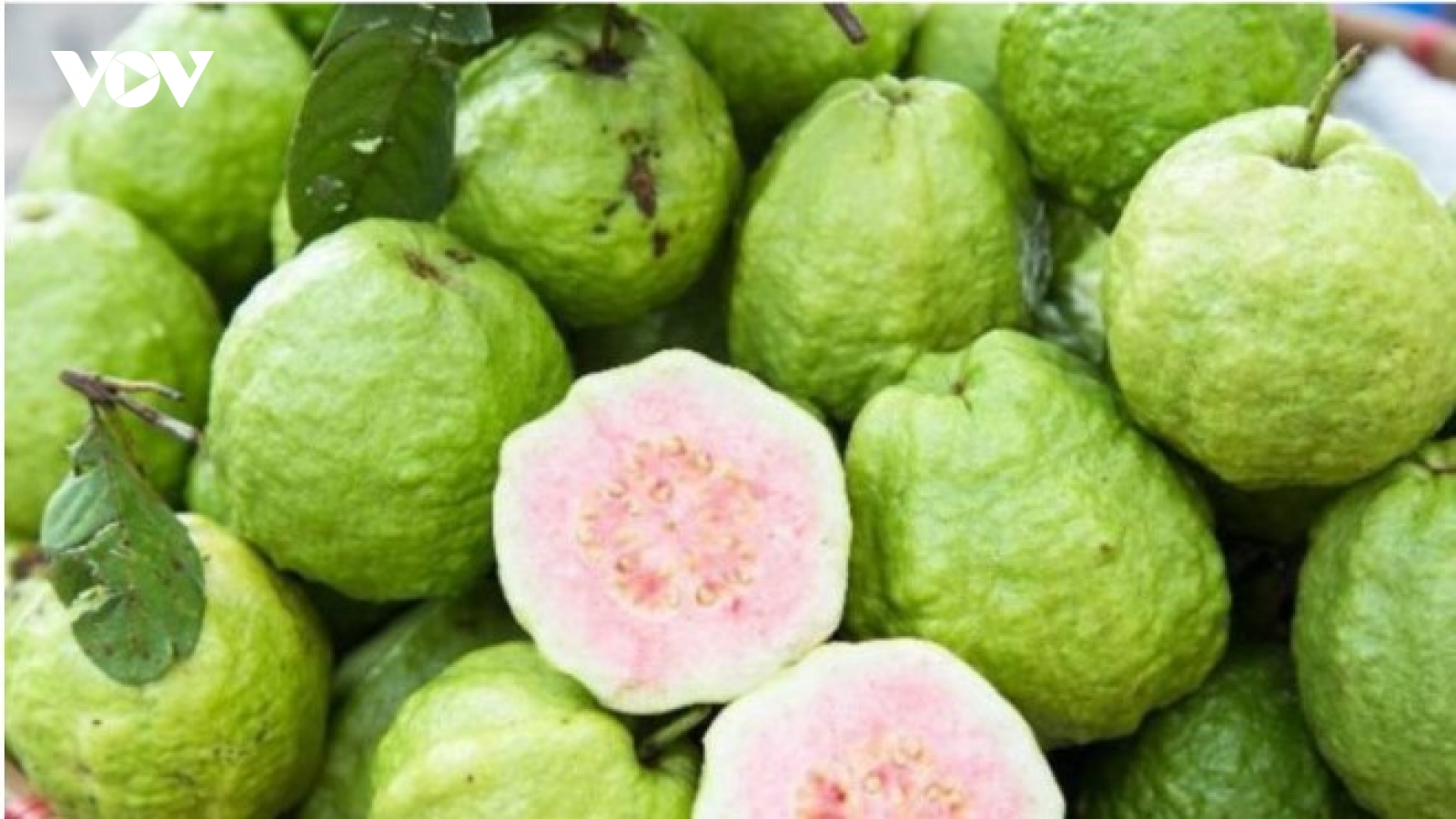 Loại quả là kho vitamin C, chăm ăn khỏi lo gặp bác sĩ