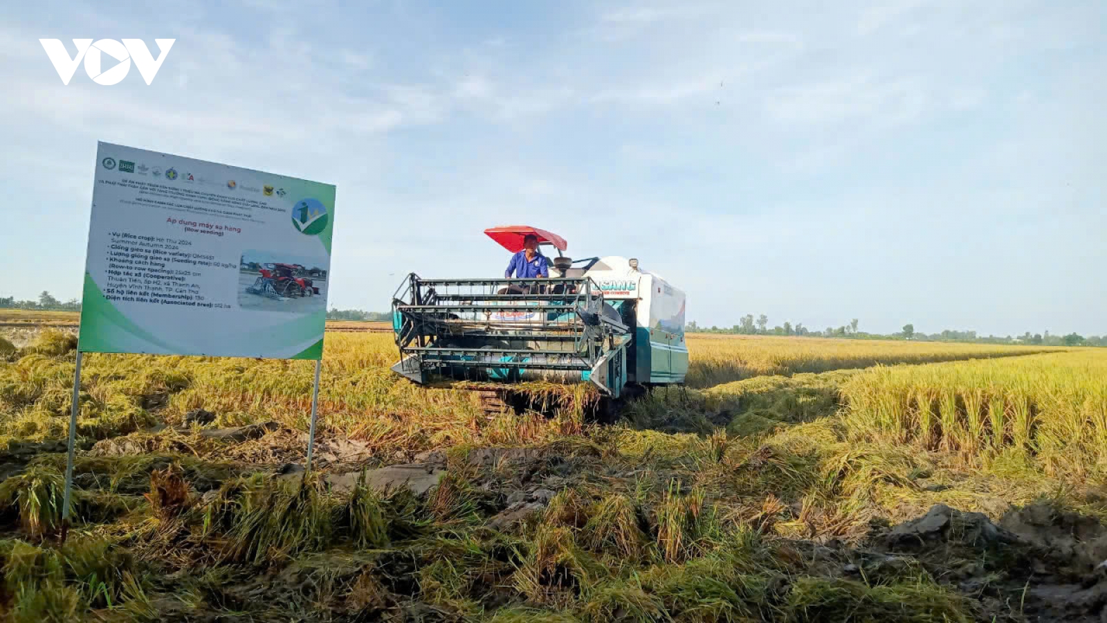 Thu hút doanh nghiệp Nhật Bản đầu tư vào chuyển đổi số, chuyển đổi xanh ở ĐBSCL