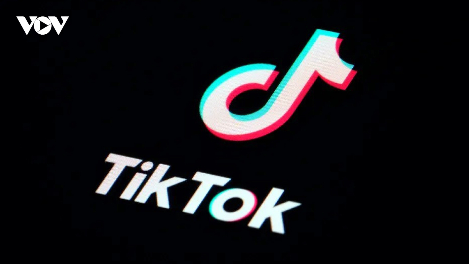 Tỷ phú Elon Musk không có ý định mua lại TikTok