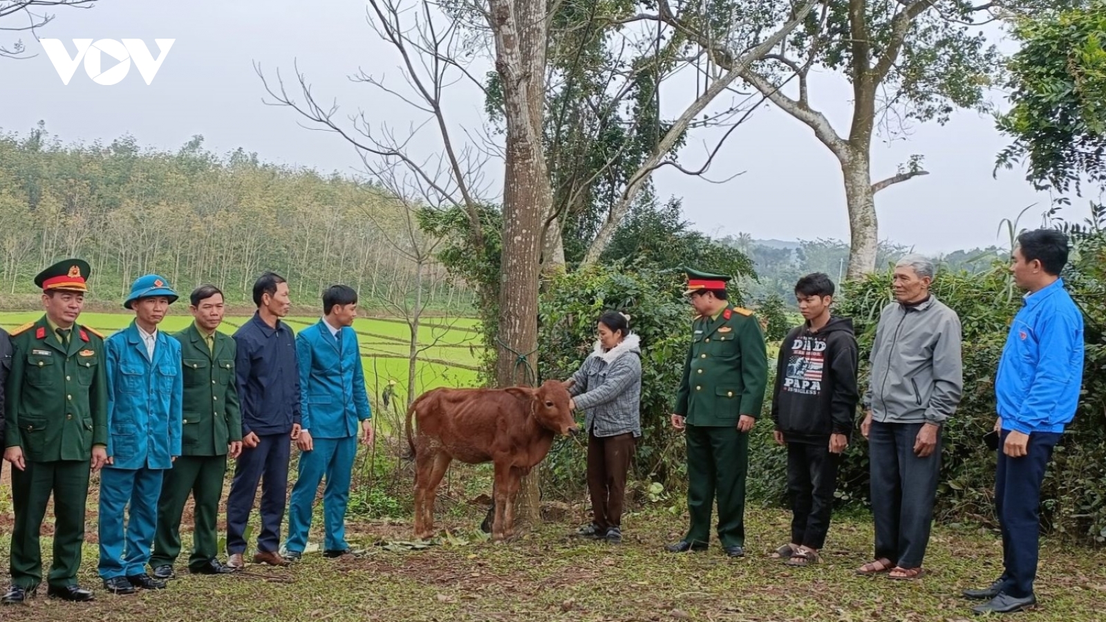 Quảng Bình: Tặng bò giúp gia đình hoàn cảnh khó khăn có thanh niên nhập ngũ