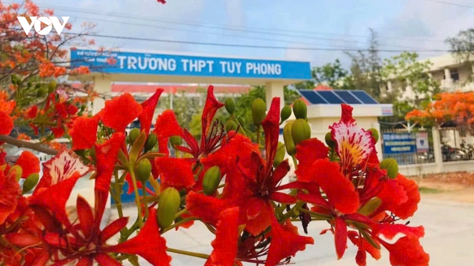 Tạm đình chỉ thầy giáo bị tố "quan hệ" với nữ sinh lớp 10 ở Bình Thuận