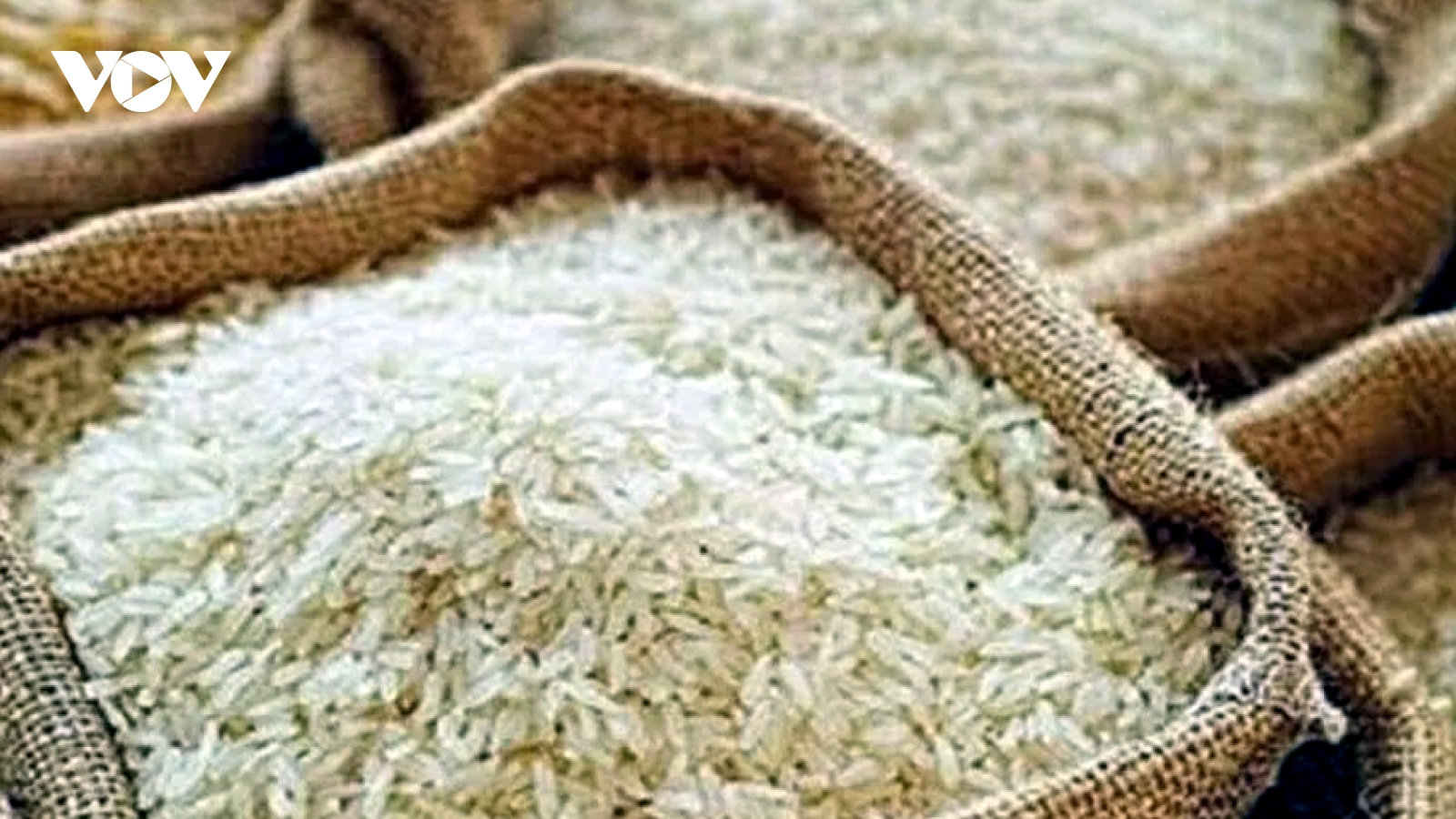 Xuất khẩu gạo ứng phó với những biến động mới của thị trường