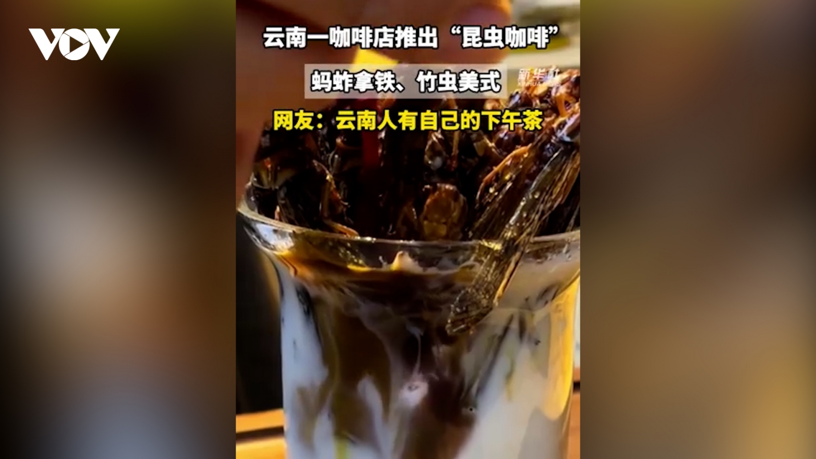 Cà phê côn trùng “độc lạ” ở Vân Nam, Trung Quốc