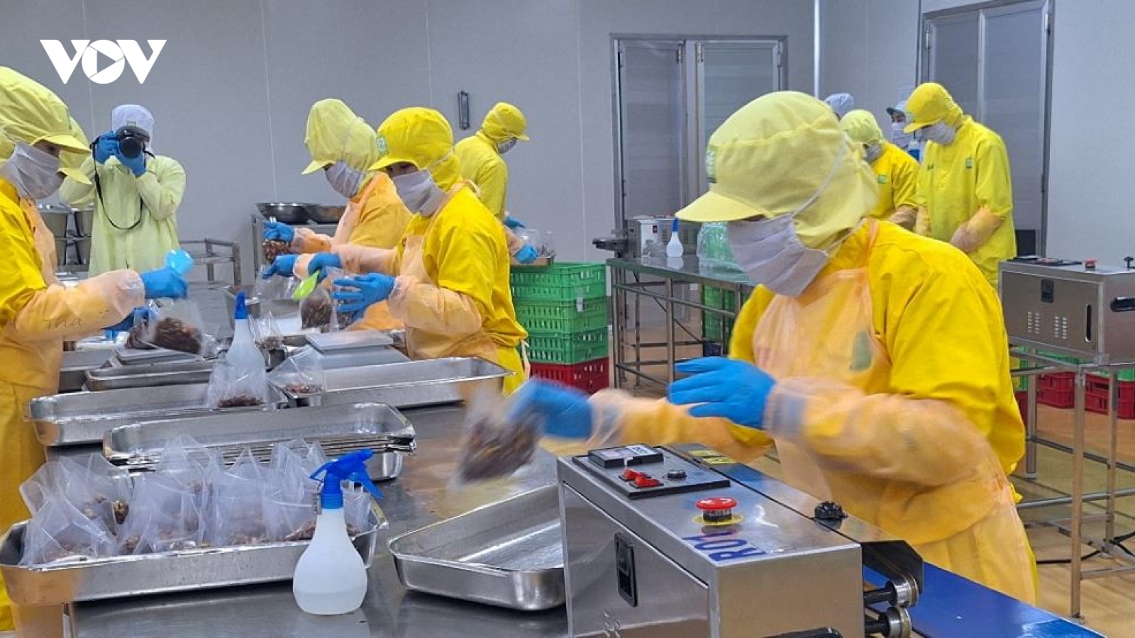 Tháo gỡ rào cản, trao cơ hội, kinh tế tư nhân mới có thể vươn tầm