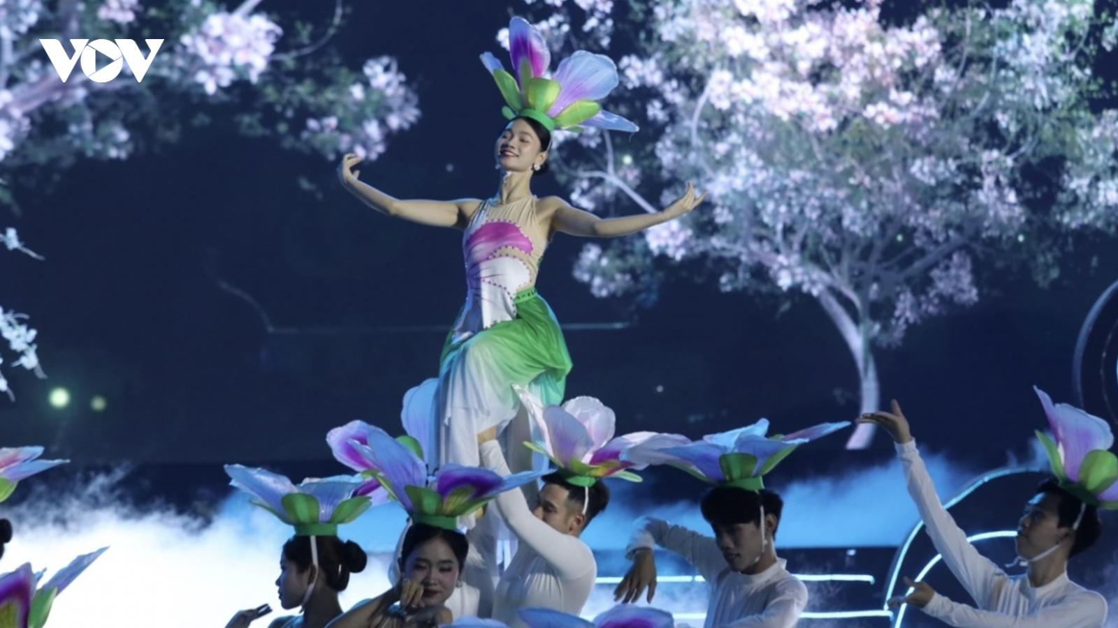 Ban Flower Festival 2025 draws crowds to Dien Bien
